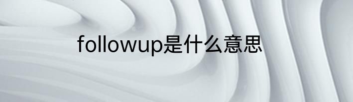 followup是什么意思