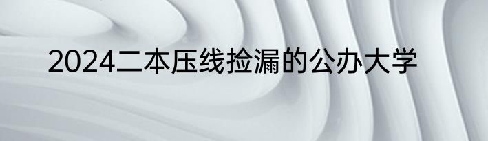 2024二本压线捡漏的公办大学