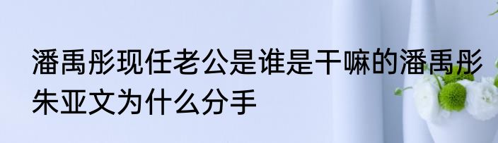 潘禹彤现任老公是谁是干嘛的潘禹彤朱亚文为什么分手
