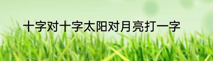 十字对十字太阳对月亮打一字