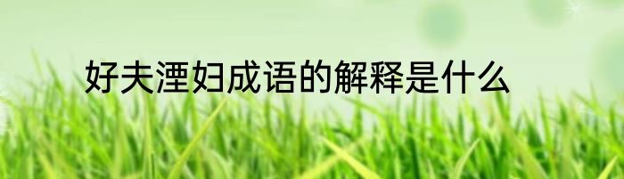 好夫湮妇成语的解释是什么