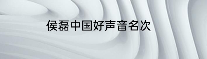 侯磊中国好声音名次