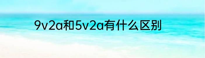 9v2a和5v2a有什么区别
