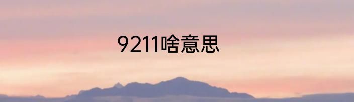 9211啥意思