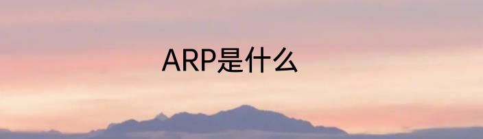 ARP是什么
