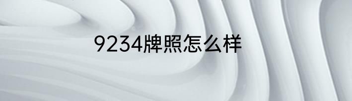 9234牌照怎么样