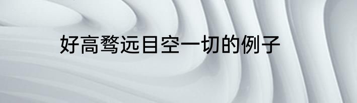 好高骛远目空一切的例子