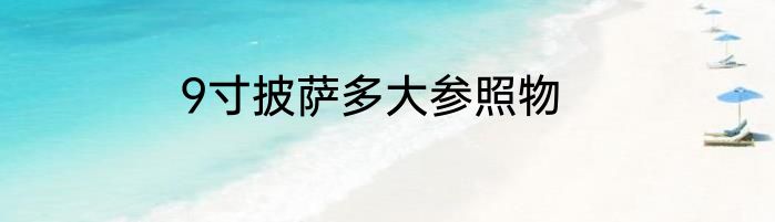 9寸披萨多大参照物