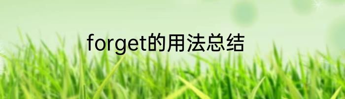 forget的用法总结