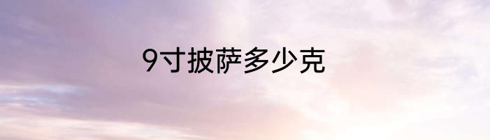 9寸披萨多少克