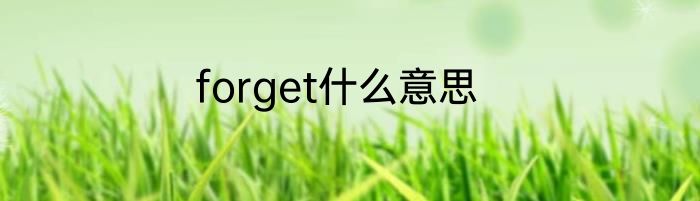 forget什么意思