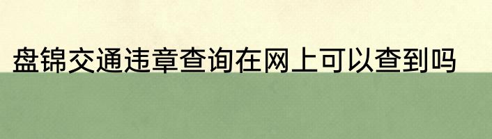 盘锦交通违章查询在网上可以查到吗