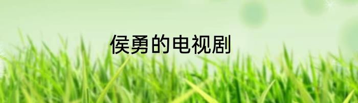 侯勇的电视剧