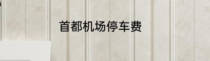 首都机场停车费