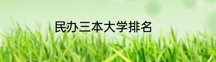 民办三本大学排名