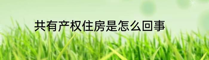 共有产权住房是怎么回事