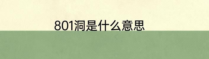 801洞是什么意思