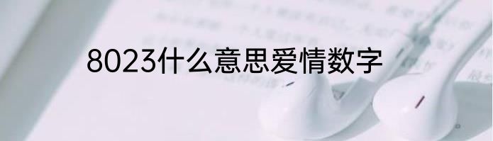 8023什么意思爱情数字