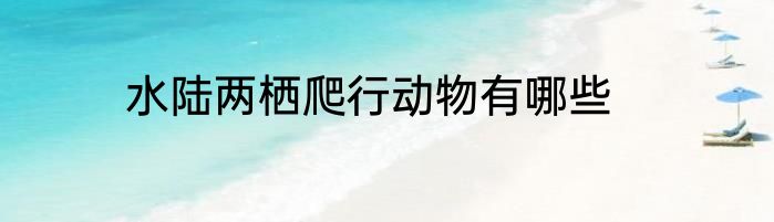 水陆两栖爬行动物有哪些
