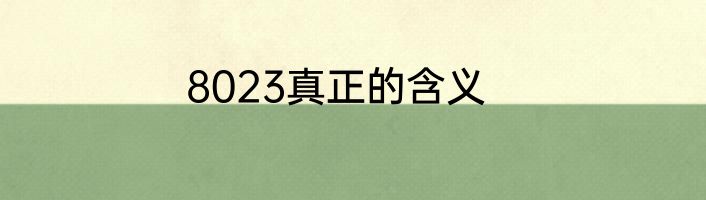 8023真正的含义