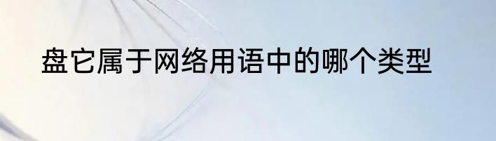 盘它属于网络用语中的哪个类型