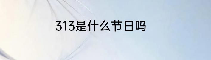 313是什么节日吗