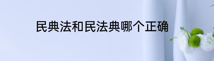民典法和民法典哪个正确