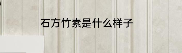 石方竹素是什么样子