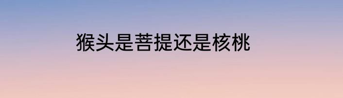 猴头是菩提还是核桃