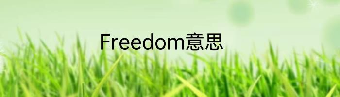 Freedom意思