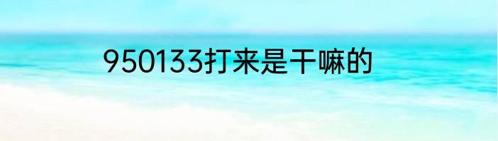 950133打来是干嘛的