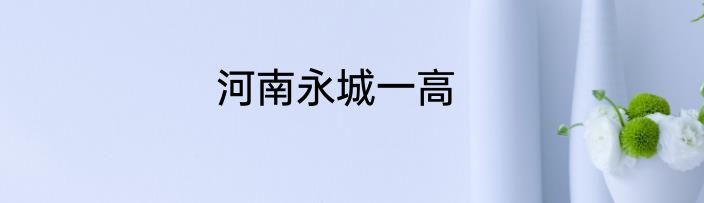 河南永城一高