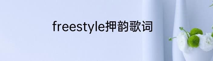 freestyle押韵歌词