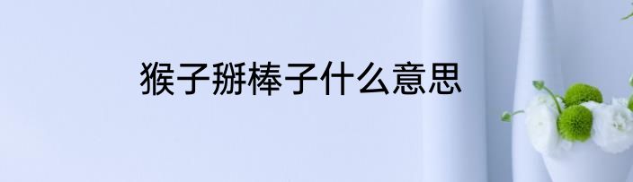 猴子掰棒子什么意思