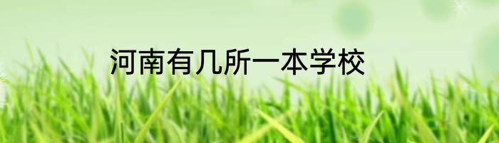河南有几所一本学校