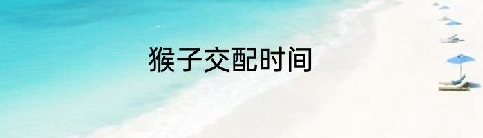 猴子交配时间
