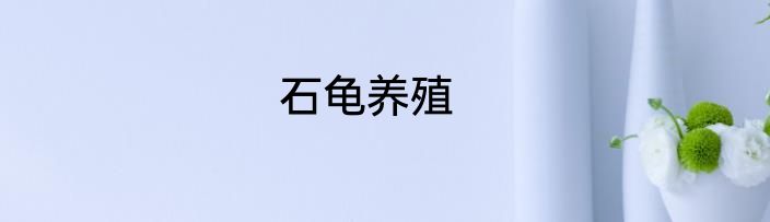 石龟养殖