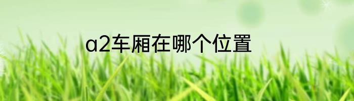 a2车厢在哪个位置