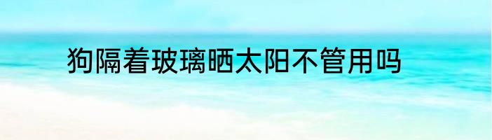 狗隔着玻璃晒太阳不管用吗