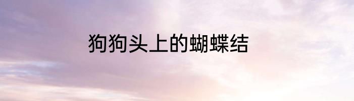 狗狗头上的蝴蝶结