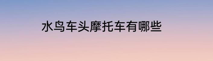 水鸟车头摩托车有哪些