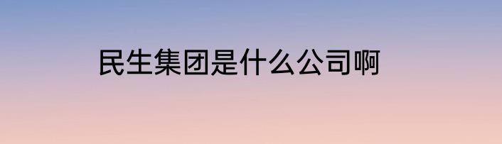 民生集团是什么公司啊