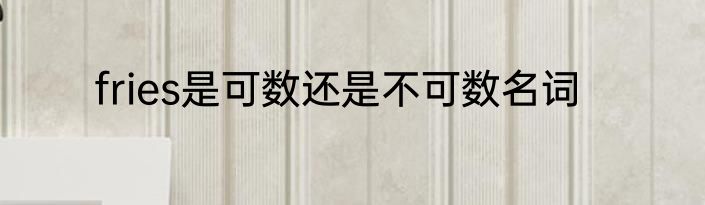 fries是可数还是不可数名词