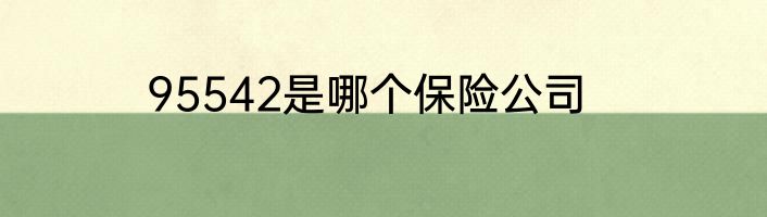 95542是哪个保险公司