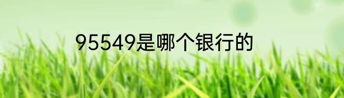 95549是哪个银行的