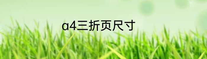 a4三折页尺寸