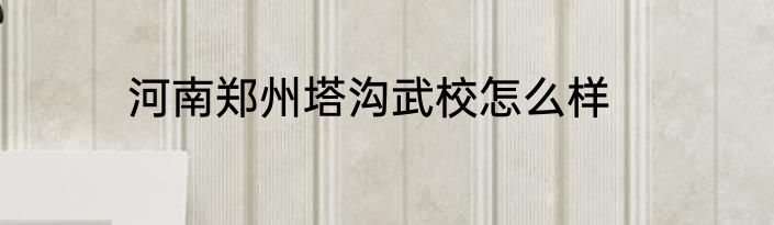 河南郑州塔沟武校怎么样