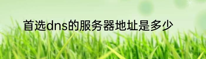 首选dns的服务器地址是多少