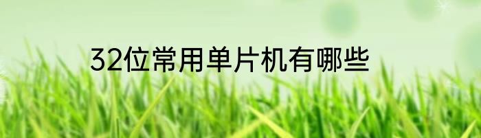 32位常用单片机有哪些