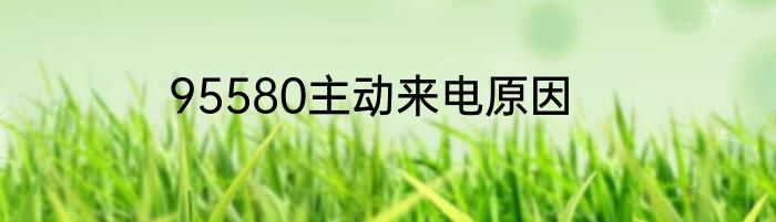 95580主动来电原因
